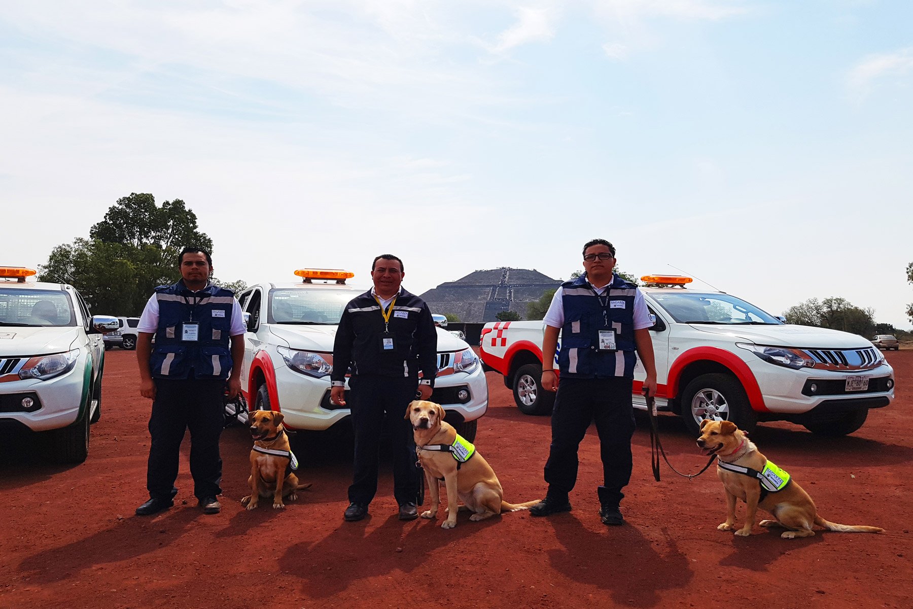 Los caninos colaboran con los oficiales en la inspección con mayor rapidez y efectividad