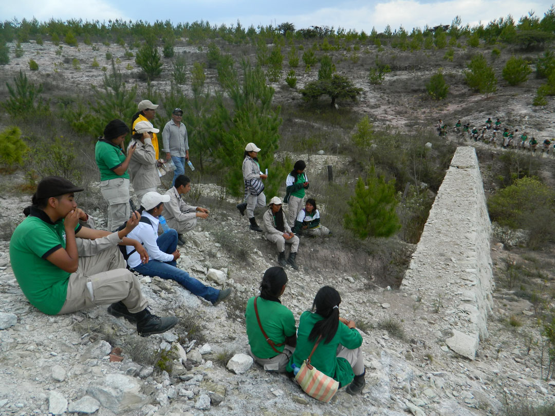 El viaje se realizó como parte del plan académico de la asignatura Suelos. Asesores técnicos de la comunidad y expertos del área de Suelos de la Gerencia Estatal de la Comisión Nacional Forestal (CONAFOR) en Oaxaca, expusieron diferentes temas a los alumnos.