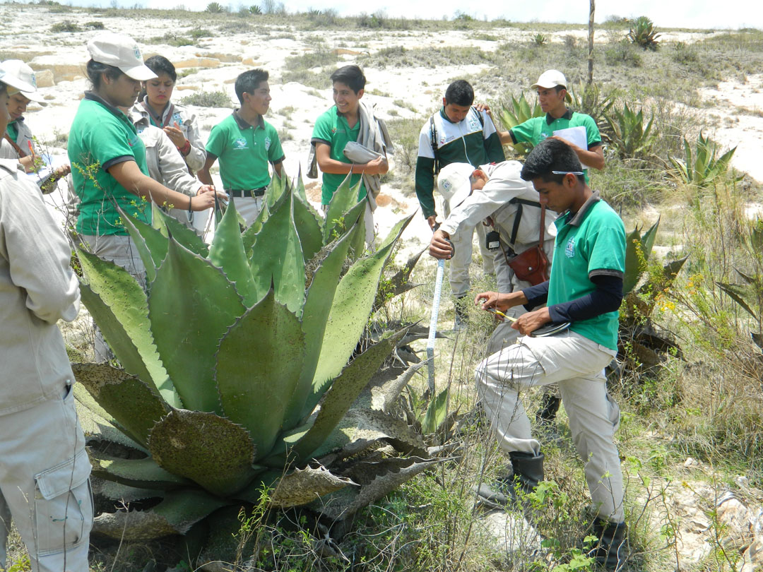 El CECFOR 2, es uno de los cuatro planteles que hay en el país. Los otros tres se encuentran en Michoacán, Veracruz y Coahuila. 