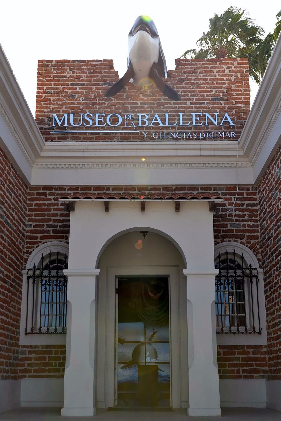 /cms/uploads/image/file/284814/BajaCaliforniaSur-Museo_de_la_Ballena_en_La_Paz.jpg