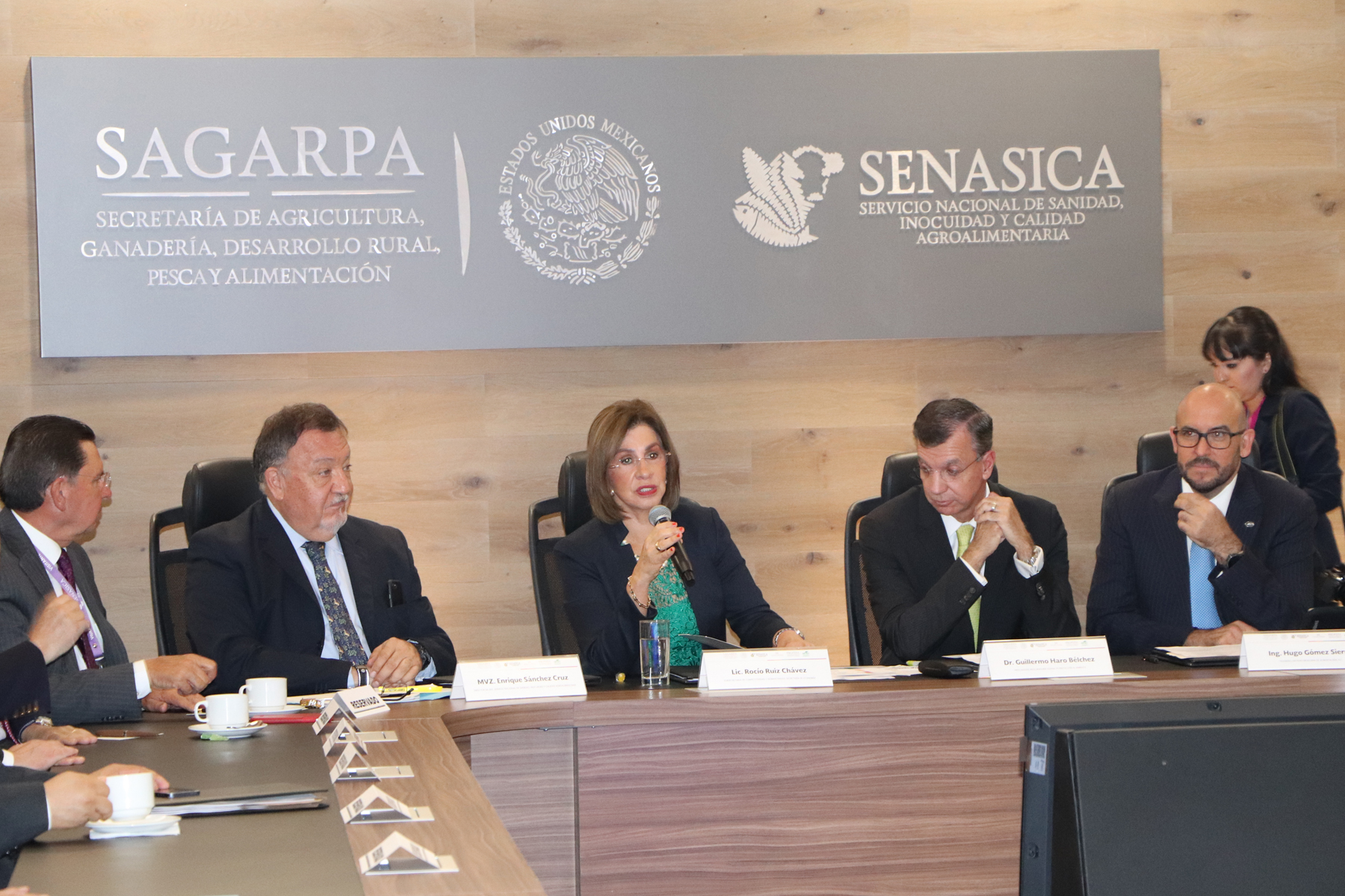 Subsecretaria de SE, Rocío Ruiz, expone ventajas de las Buenas Prácticas de Laboratorios