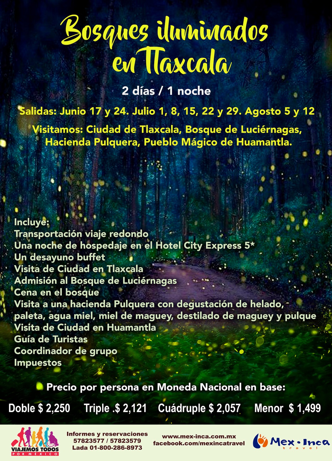 Ilumina tus vacaciones en el Santuario de las Luciérnagas | Secretaría de  Turismo | Gobierno 