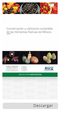 /cms/uploads/image/file/290833/Conservacion-y-utilizacion-sostenible-de-las-hortalizas-nativas.jpg