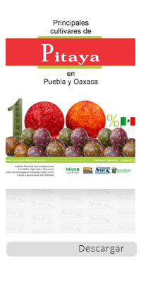 /cms/uploads/image/file/290887/Principales-cultivares-de-pitaya-en-puebla-y-oaxaca.jpg
