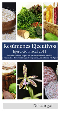 /cms/uploads/image/file/290941/Resumenes-ejecutivos-ejercicio-fiscal-2011.jpg