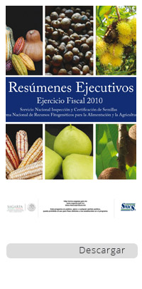 /cms/uploads/image/file/290946/Resumenes-ejecutivos-ejercicio-fiscal-2010.jpg