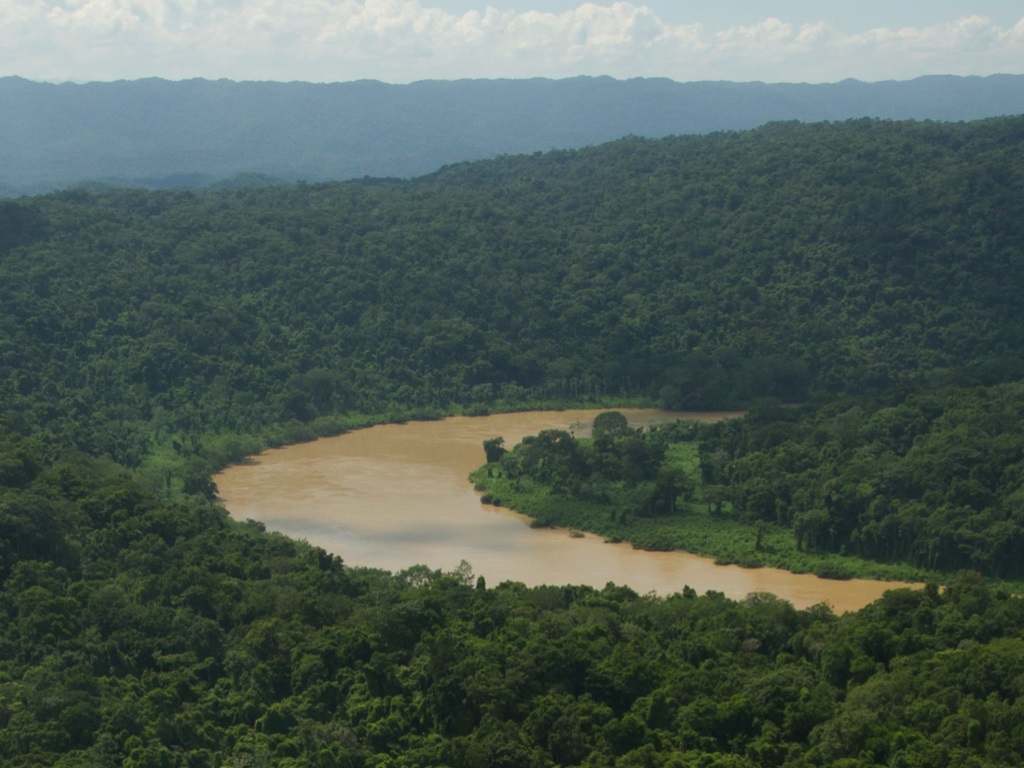 Bosques tropicales, ecosistemas con gran riqueza de especies | Secretaría  de Medio Ambiente y Recursos Naturales | Gobierno 