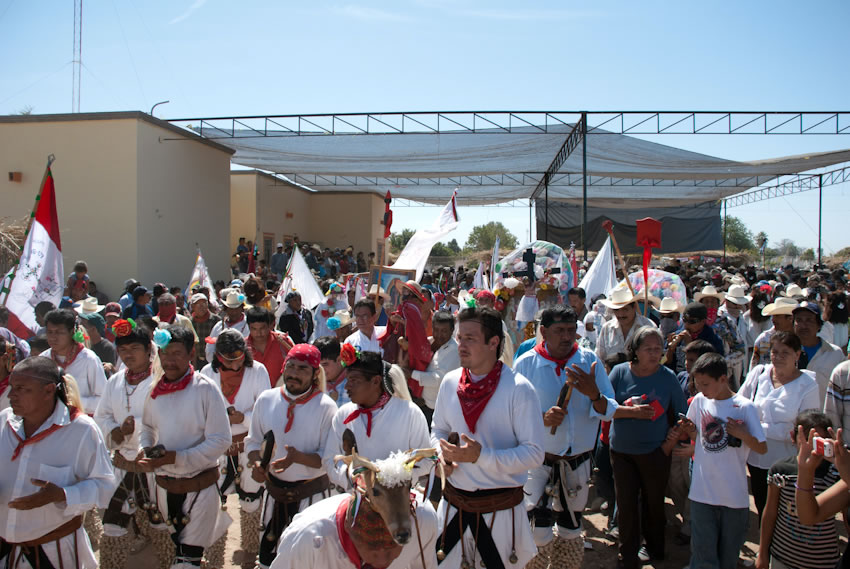 Etnografía del pueblo mayo de Sinaloa y Sonora (yoremes).