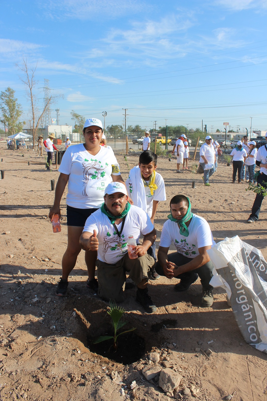 En Baja California, en coordinación con voluntarios de Grupo Gayosso, realizamos la plantación de 200 árboles de las especies álamo, sauce, palo verde, mezquite y palma abanico. Un total de 150 voluntarios realizaron labores de limpieza y plantaron árboles.