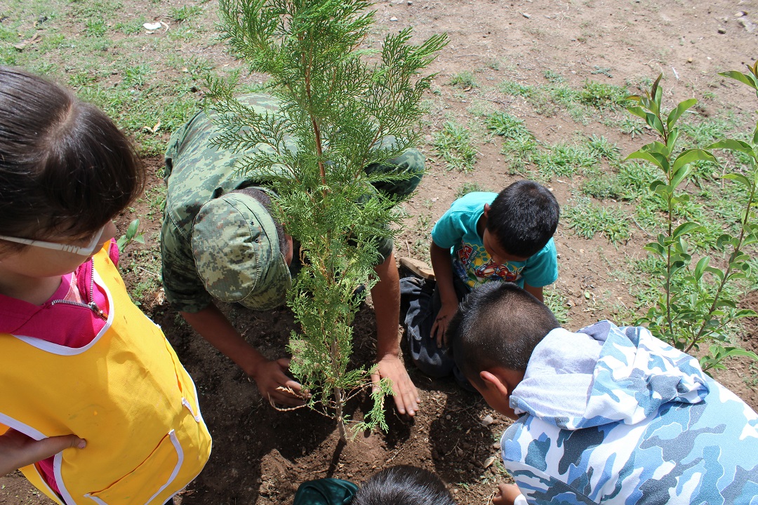 En Durango donamos 50 árboles para la reforestación de la Escuela Primaria “José María Morelos y Pavón”, en esta actividad también participó el Ejército Mexicano y la Coordinación de la Dirección Municipal de Medio Ambiente.