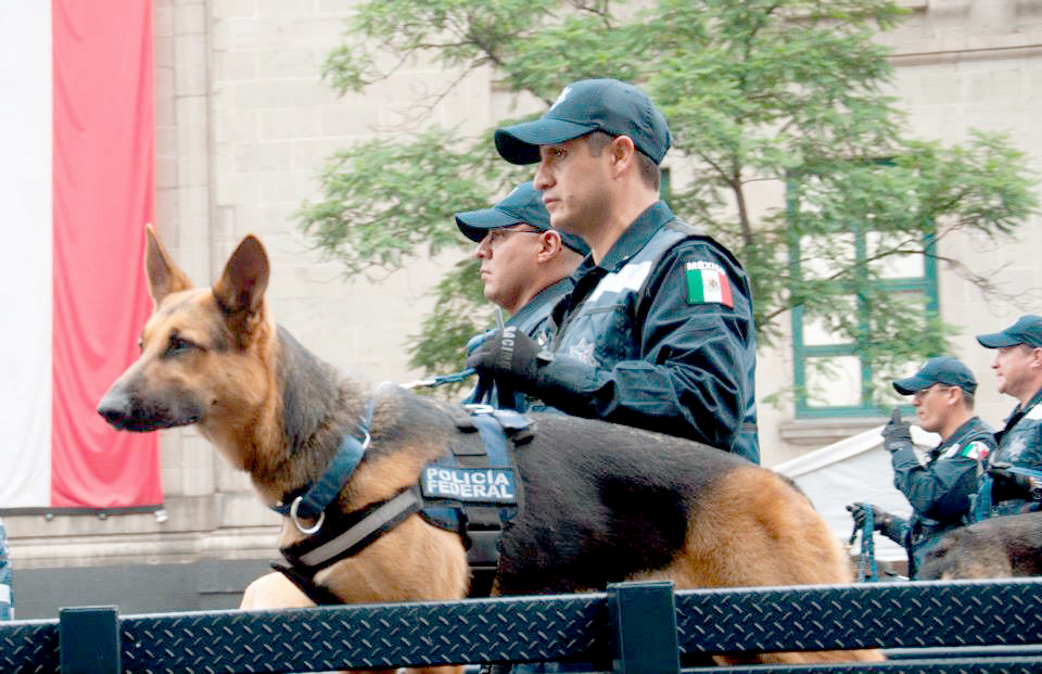 La Unidad Canina de la Policía Federal, es un grupo de élite cuya labor es invaluable en el quehacer diario de la institución, en beneficio de los ciudadanos