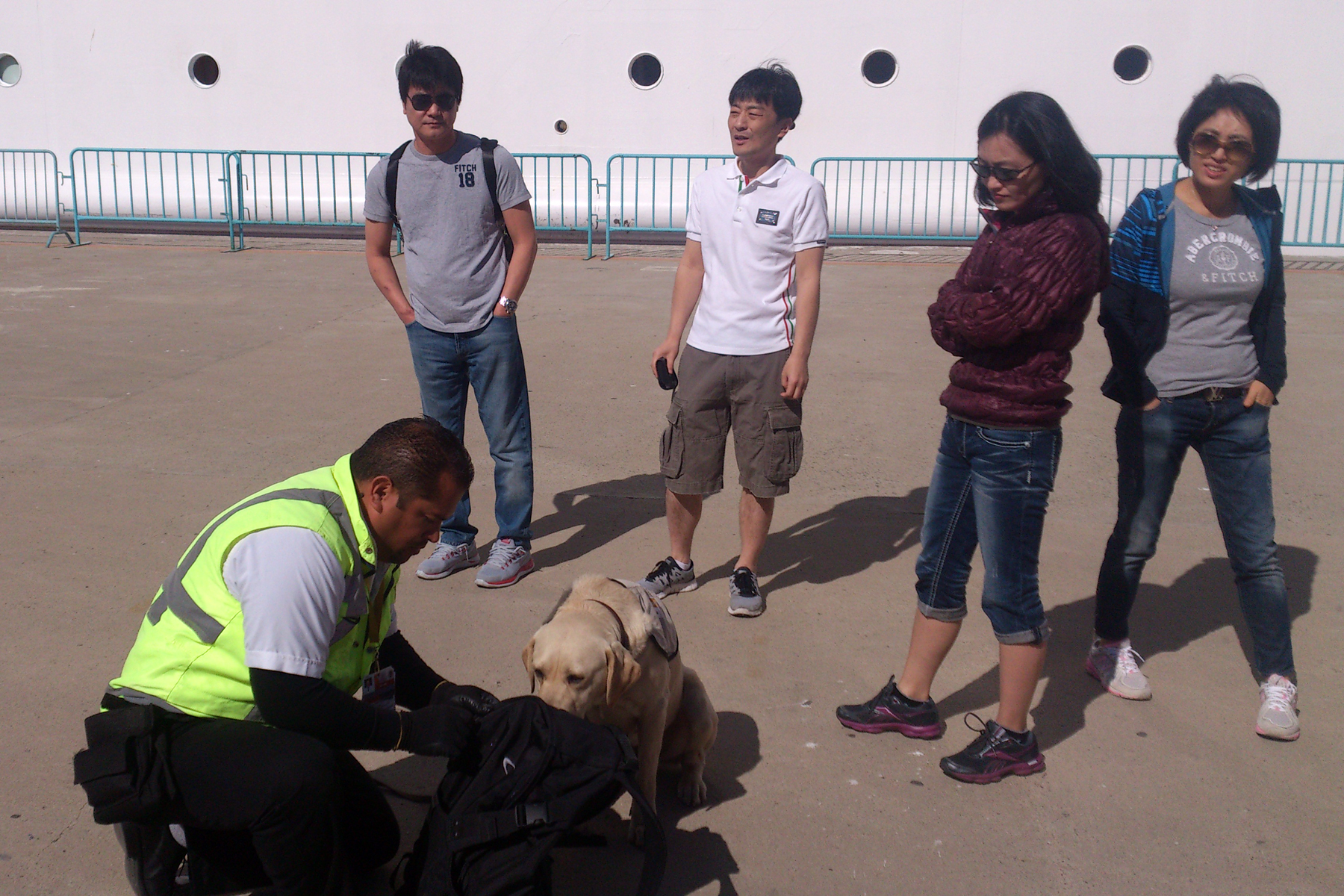 Los MVZ forman binomio con los perros inspectores del SENASICA