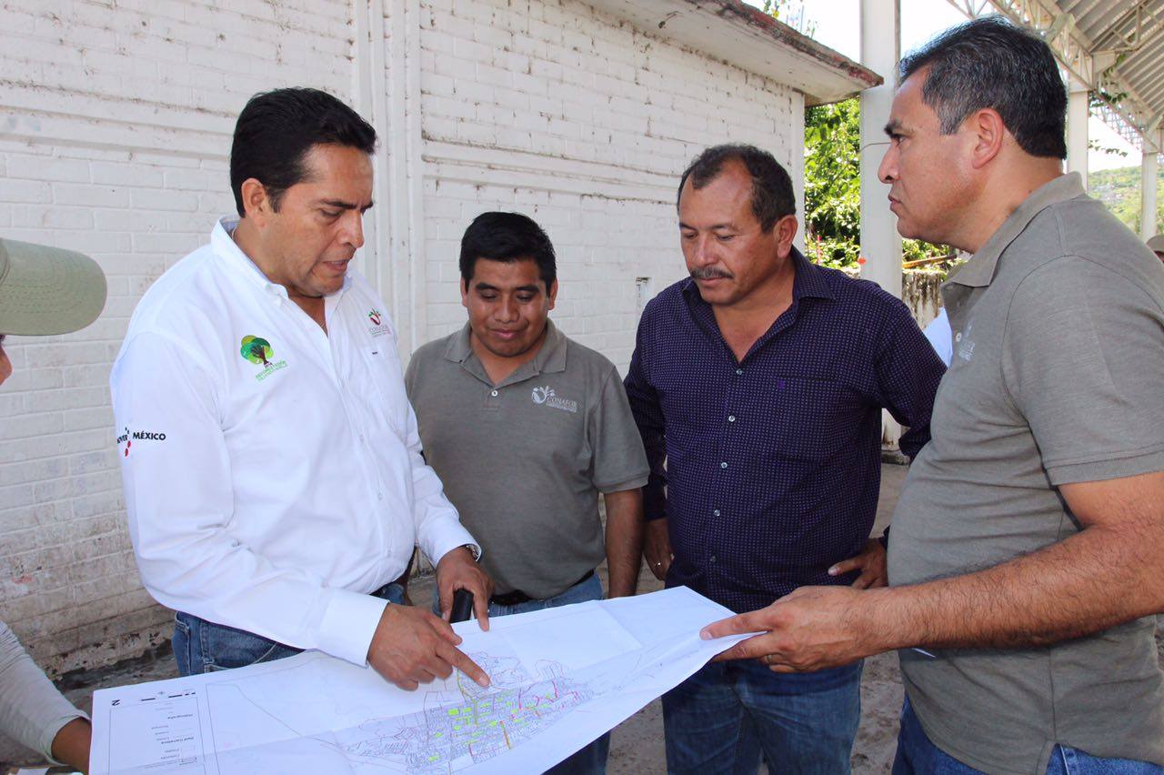Arturo Beltrán Retis, director general adjunto de la Comisión Nacional Forestal, supervisó las labores de las brigadas que consisten en elaborar el censo de daños y, en algunos casos como el de Tepalcingo, apoyar en tareas de limpieza.
