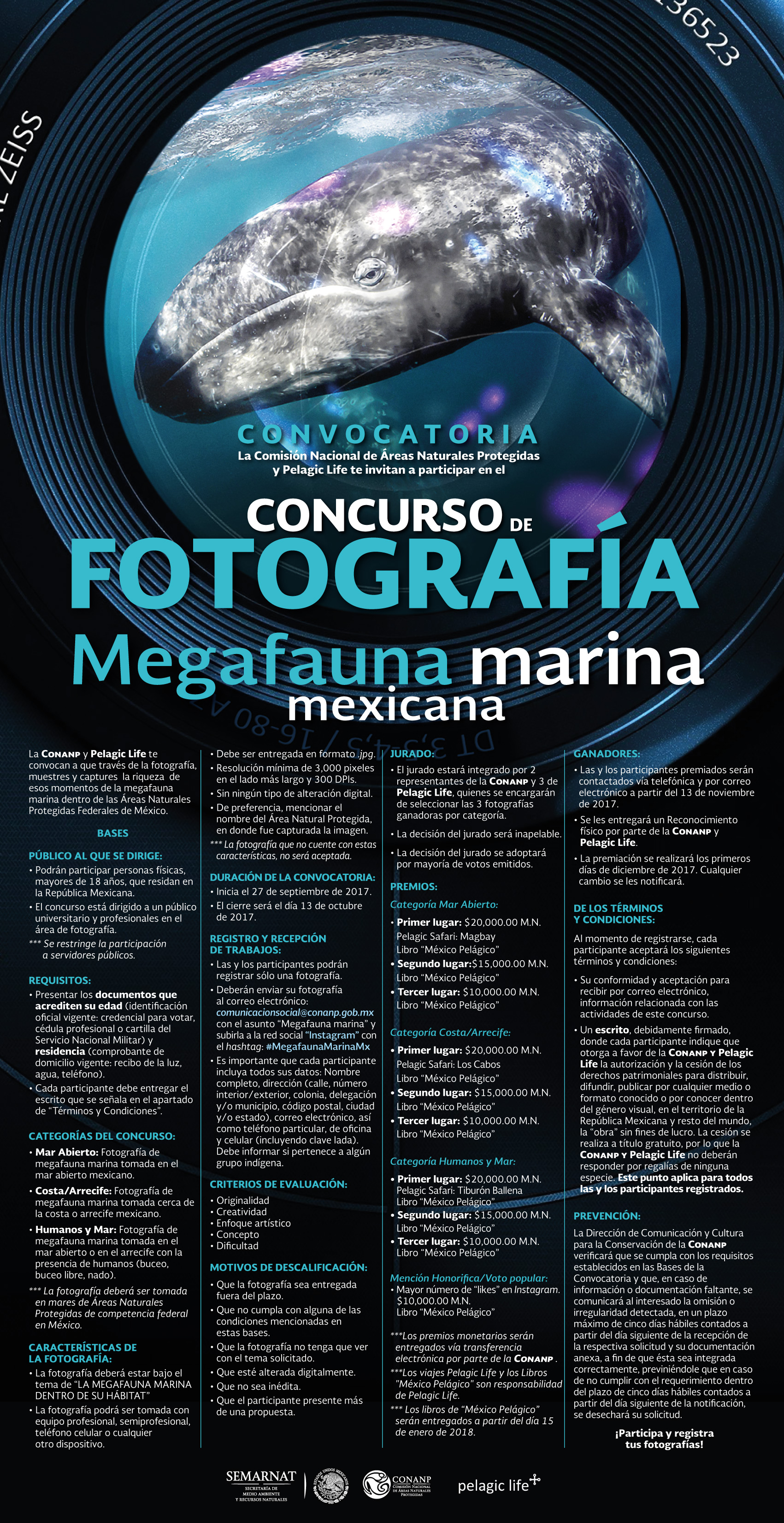 /cms/uploads/image/file/326441/CARTEL-Concurso-Fotograf_a-2017_Megafauna-Marina---Pelagic-Life.jpg