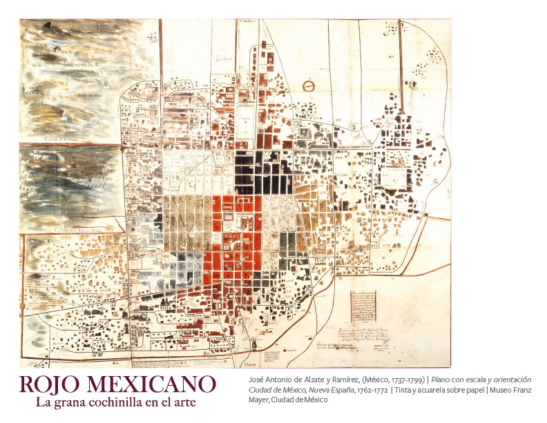 Imagen de la exposición Rojo mexicano. La grana cochinilla en el arte, en el Museo del Palacio de Bellas Artes