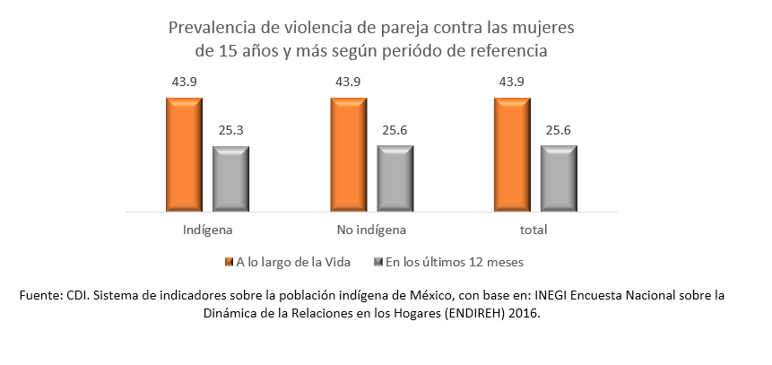 Datos e indicadores sobre violencia contra las mujeres indígenas.