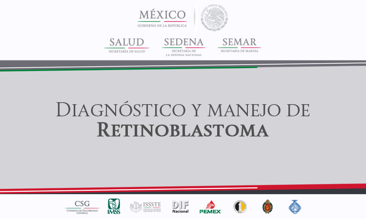 /cms/uploads/image/file/368092/IMSS-270-13_Oct_Retinoblastoma.jpg
