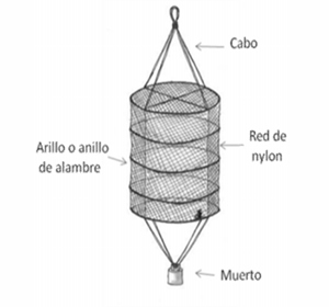 Dibujo de linterna cilindrica multinivel