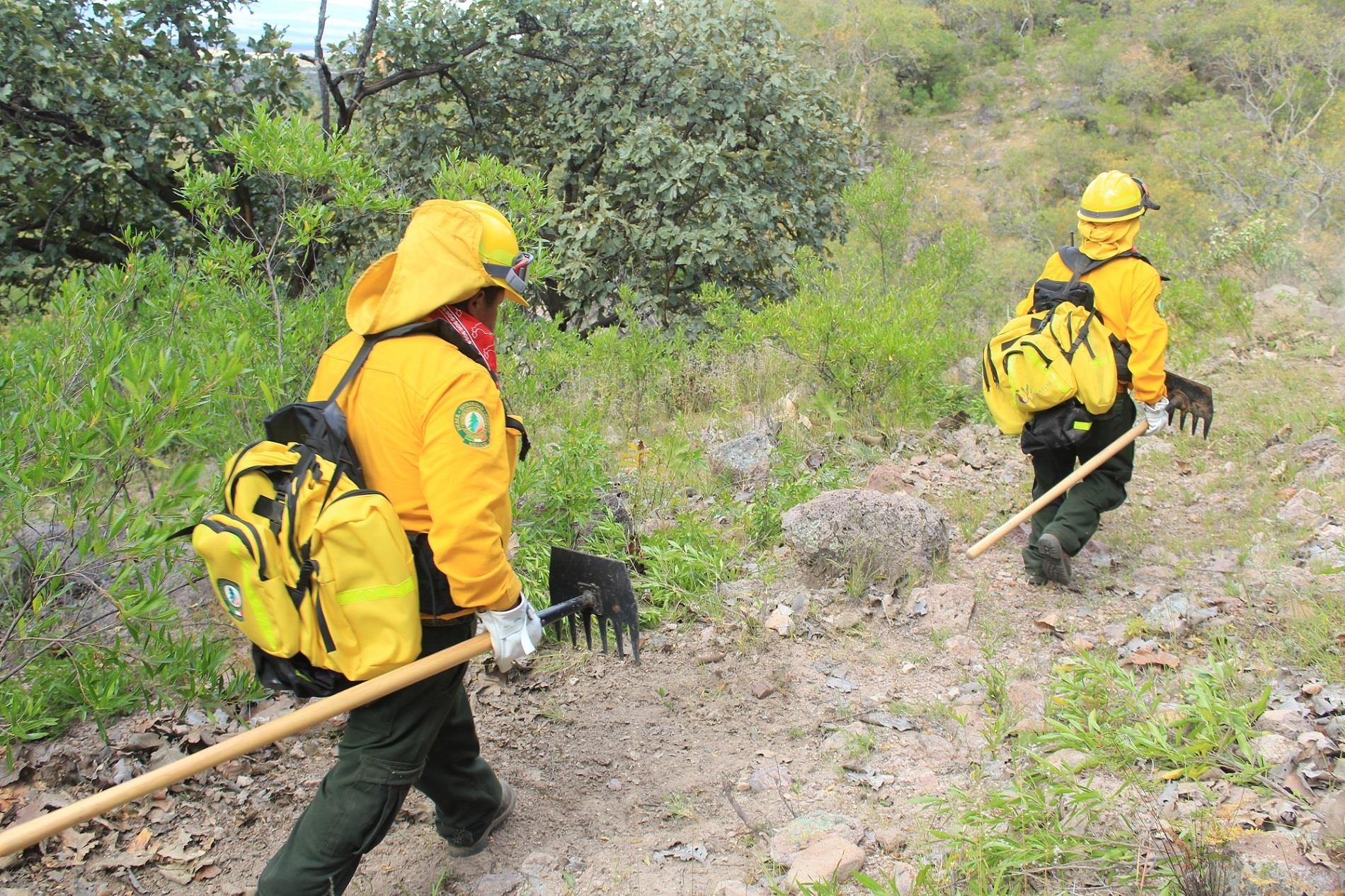 Combatientes en caminata a la zona afectada por incendio forestal, portan herramientas manuales