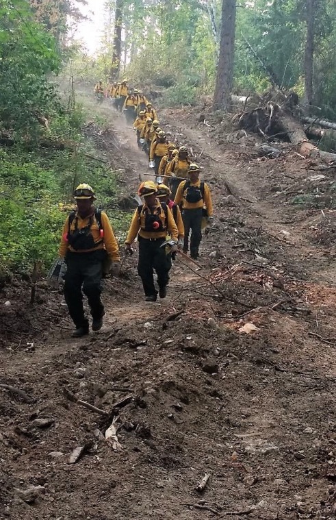 Fila de grupo de combatientes de incendios forestales bajando por camino natural.