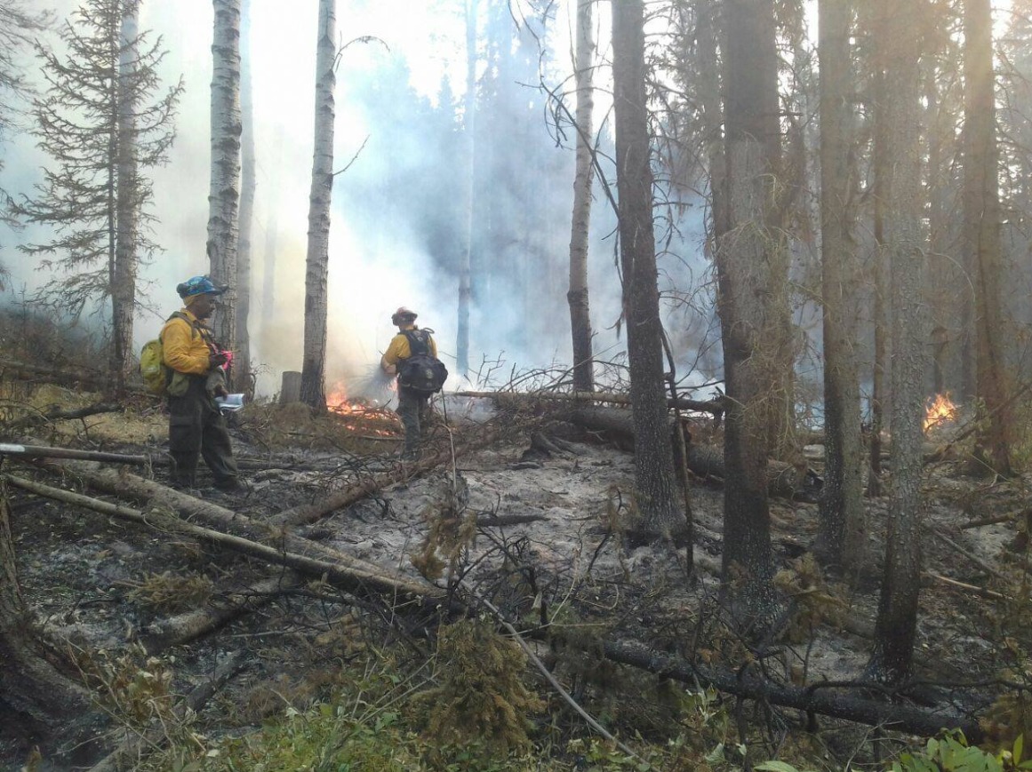 Dos combatientes de incendios forestales trabajando durante incendio controlado.