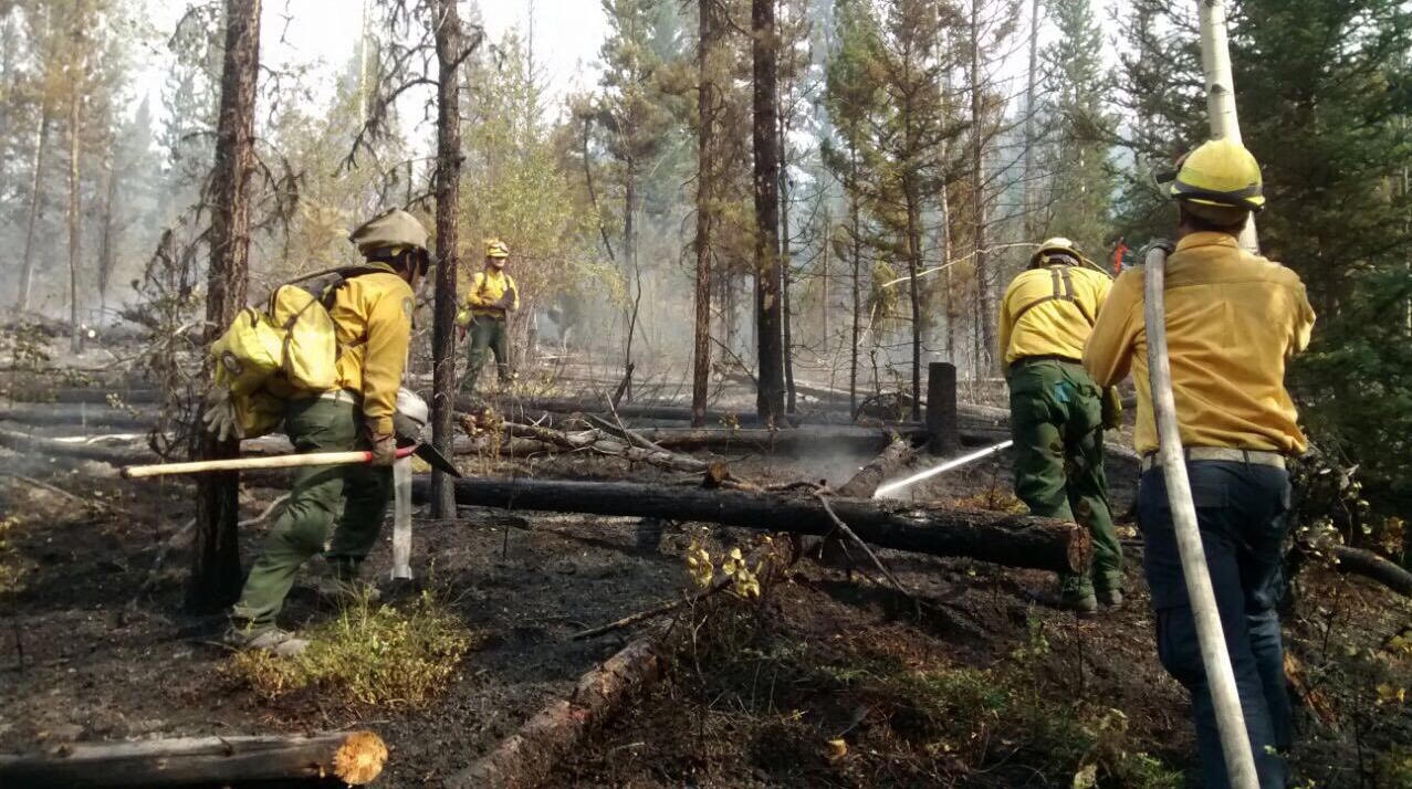 Grupo de tres combatientes de incendios forestales trabajando en incendio extinguido.