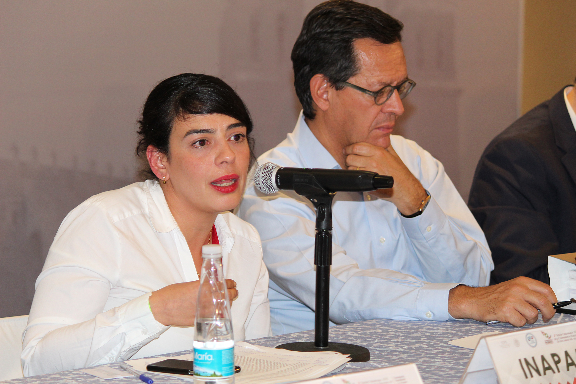doctora Bárbara Bernés Fentanés, subdirectora de Concertación y Promoción del INAPAM 