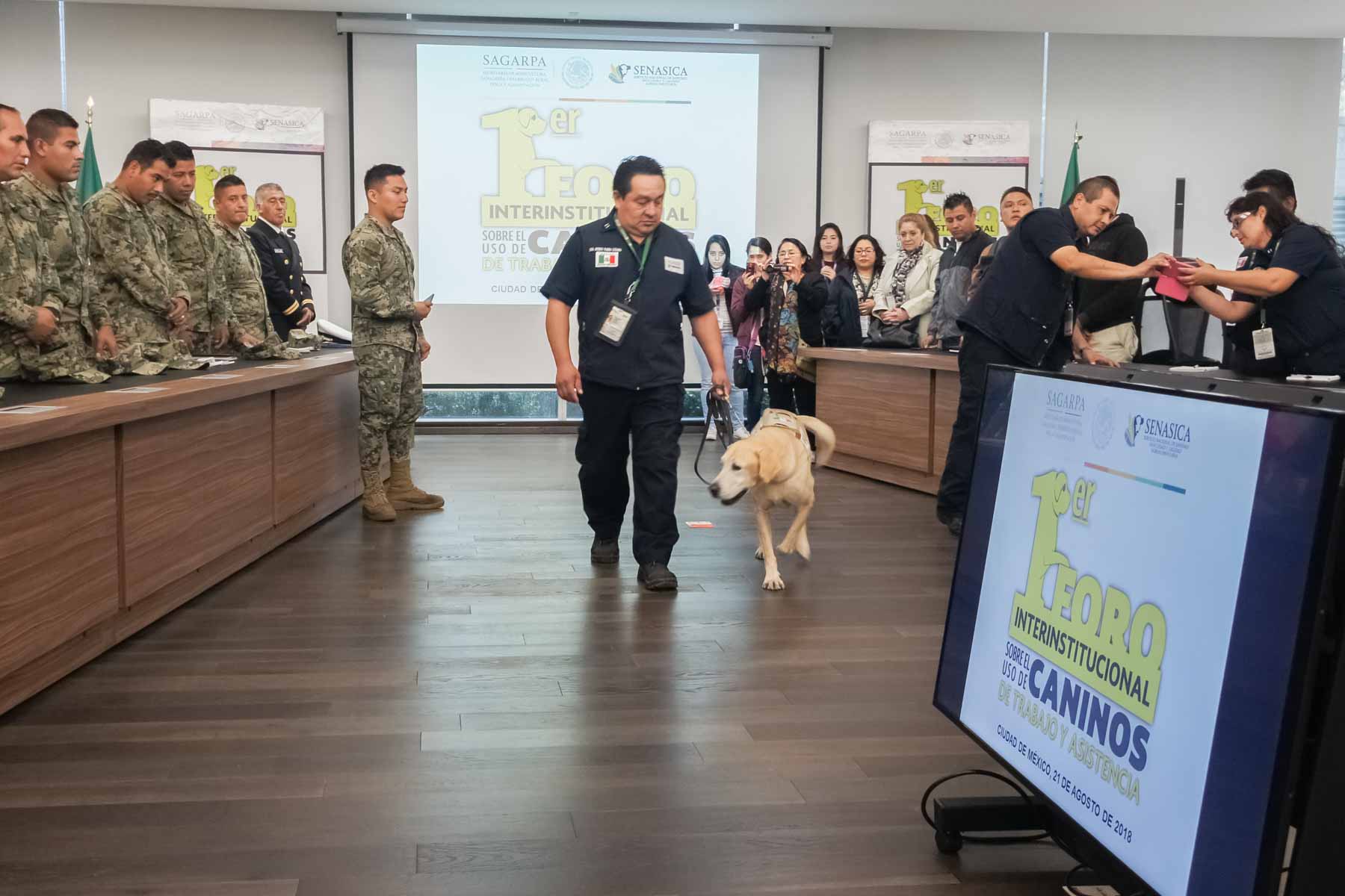 Reconocen labor de hombre - canino por su ayuda en la vigilancia epidemiológica