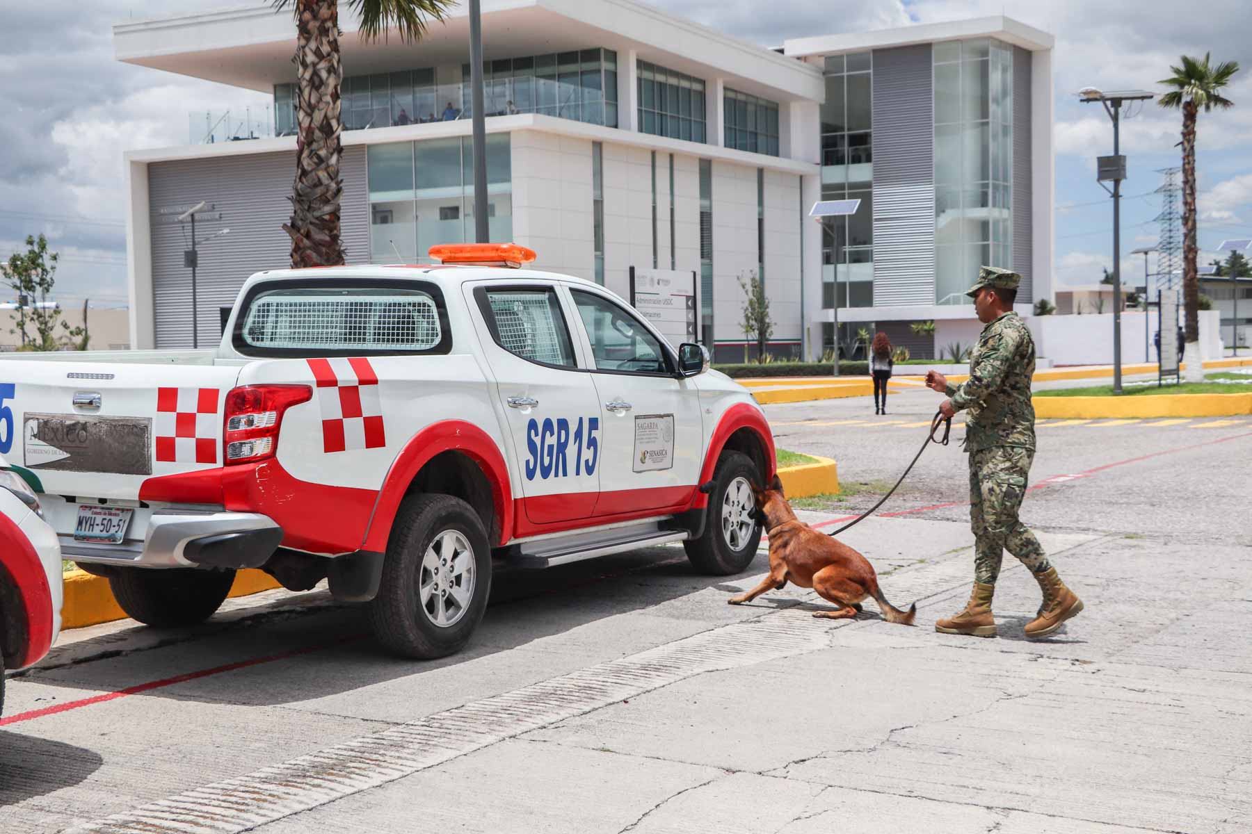 Los caninos del Ejército también son adiestrados en la detección de explosivos
