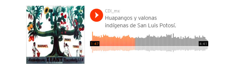 Huapangos y valonas indígenas de San Luis Potosí.