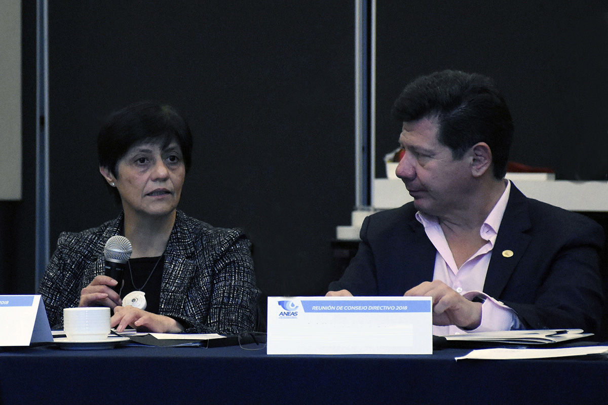 La titular de la Comisión Nacional del Agua (Conagua), Blanca Jiménez Cisneros, participó en la sesión ordinaria del Consejo Directivo de la Asociación Nacional de Empresas de Agua y Saneamiento (ANEAS), que se llevó a cabo ayer en la Ciudad de México.