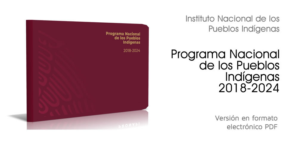 Programa Nacional de los Pueblos Indígenas 2018-2024. México.