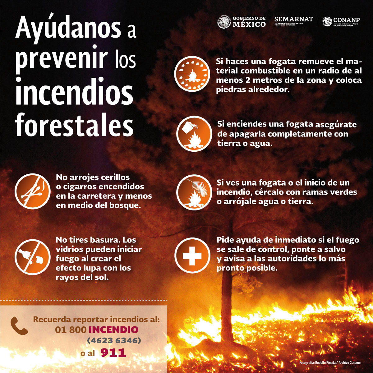 Las Principales Causas De Los Incendios Forestales | My XXX Hot Girl