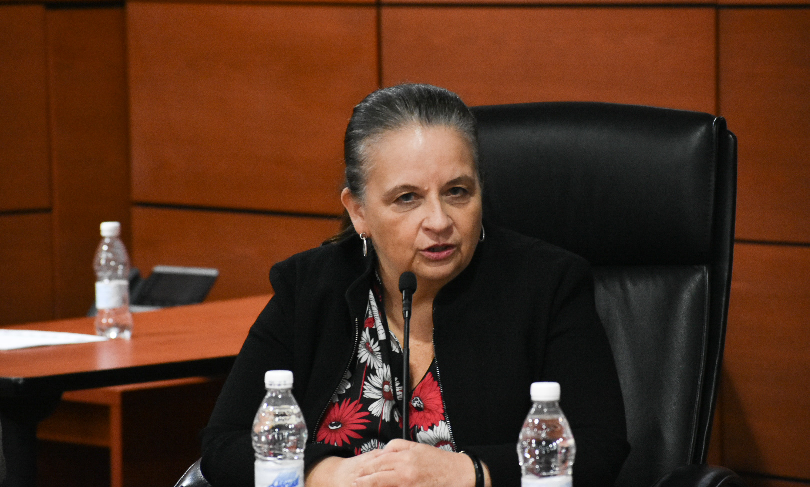  Titular de la Comisión Nacional de Protección Social en Salud (CNPSS), Angélica Ivonne Cisneros Luján