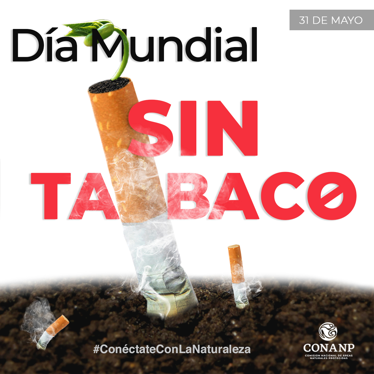 /cms/uploads/image/file/501242/D_a_Mundial_sin_Tabaco_2019.jpg