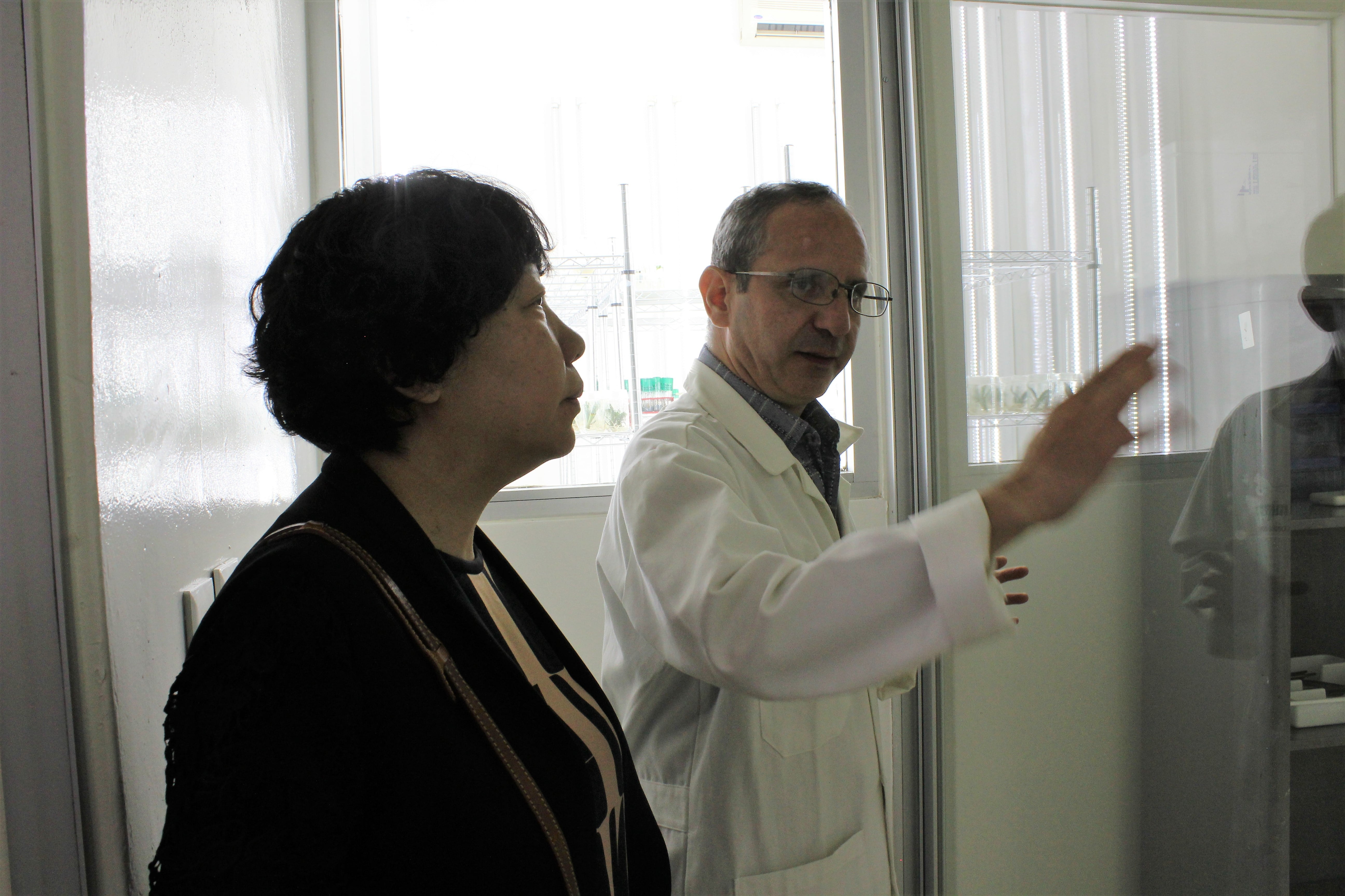 La delegación china se mostró interesada en la tecnología de las plántulas que se estudian en el laboratorio.