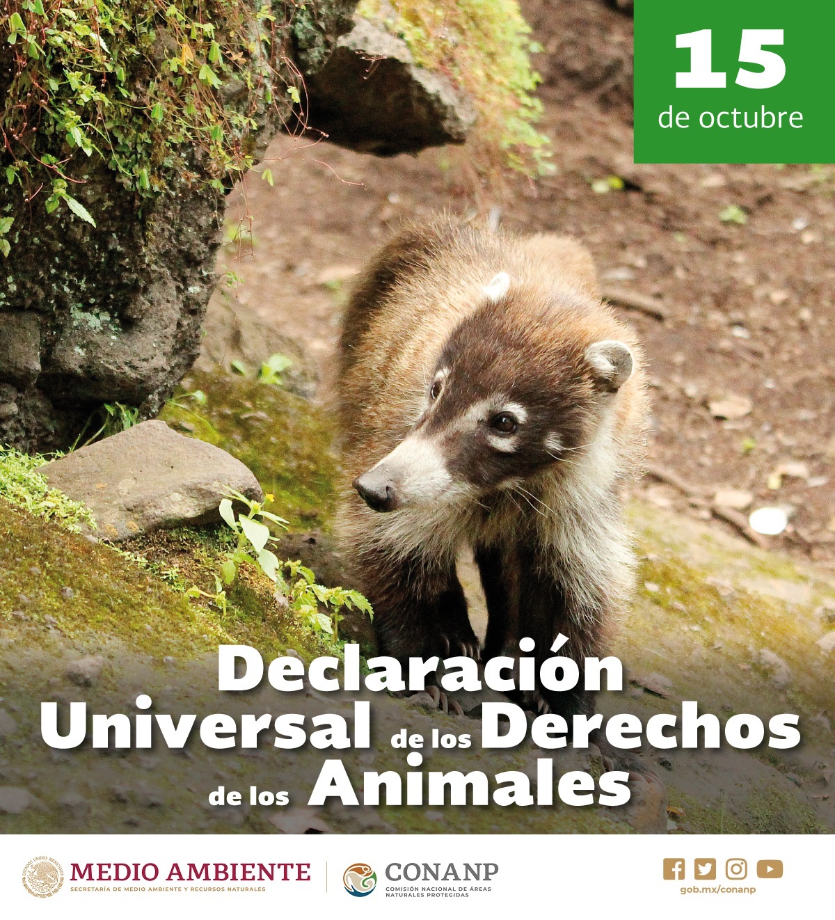 Proclamación de la Declaración Universal de los Derechos de los Animales |  Comisión Nacional de Áreas Naturales Protegidas | Gobierno 