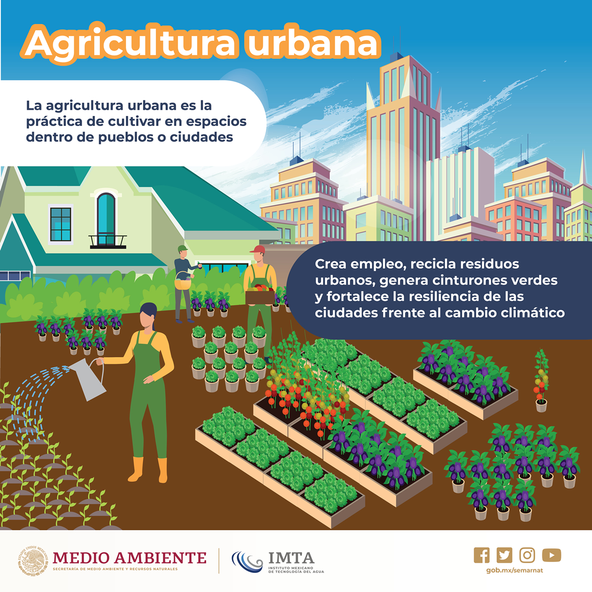 /cms/uploads/image/file/534784/Agricultura_urbana2.jpg