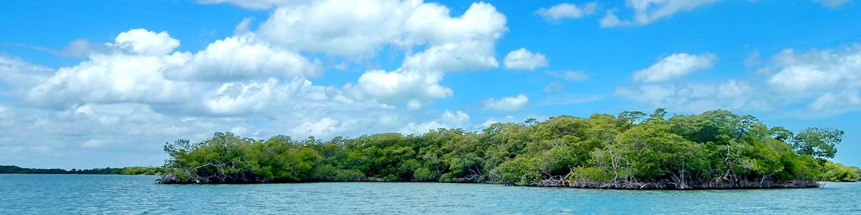 Laguna de Términos will be part of the Gran Calakmul Region 