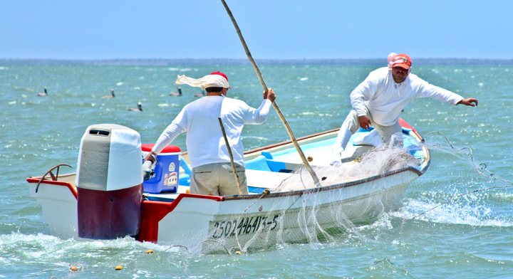La pesca mexicana, una actividad inmensa como el mar, Comisión Nacional de  Acuacultura y Pesca, Gobierno
