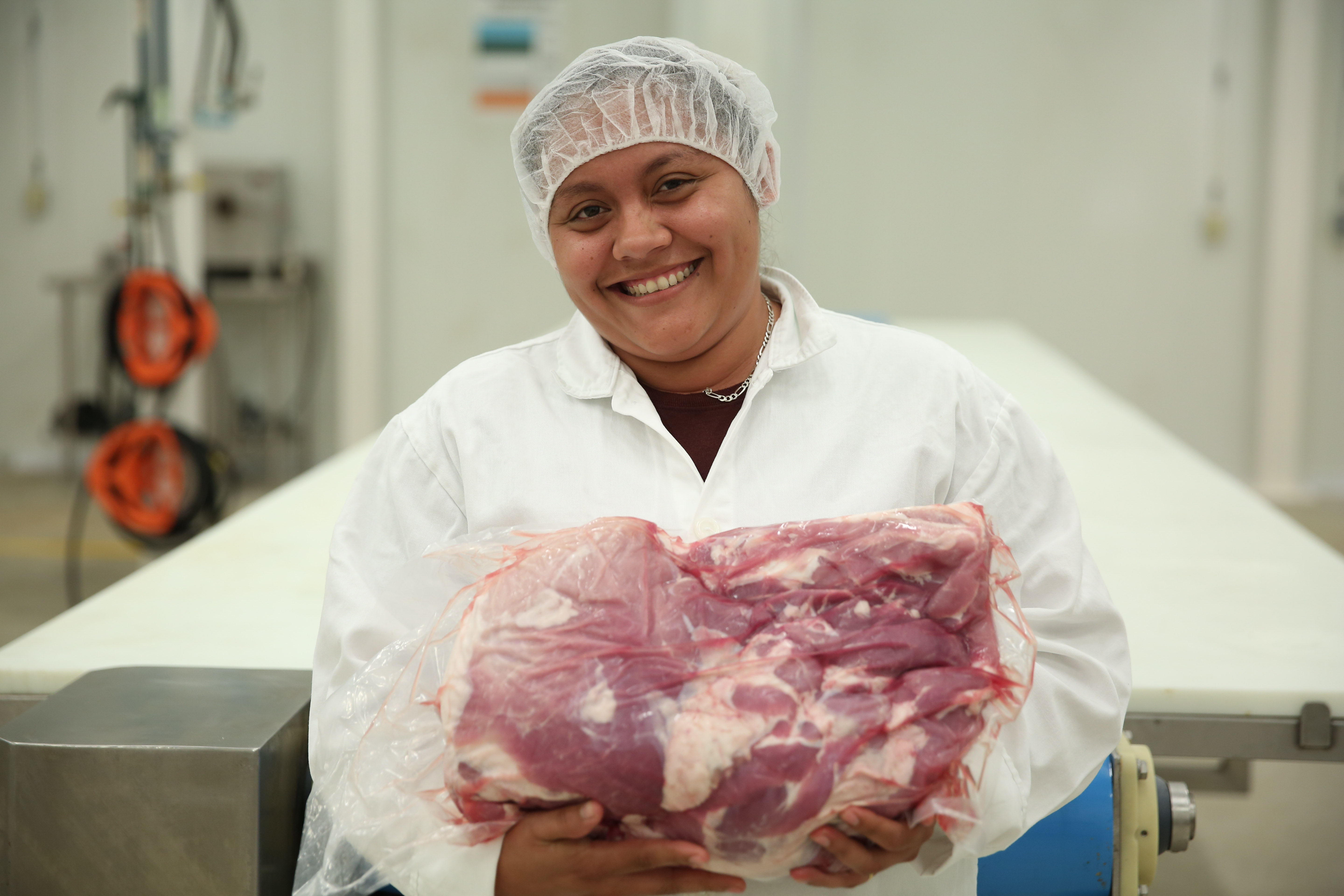 México busca enviar a la Unión Europea carne de res y reactivar el mercado de carne de equino.