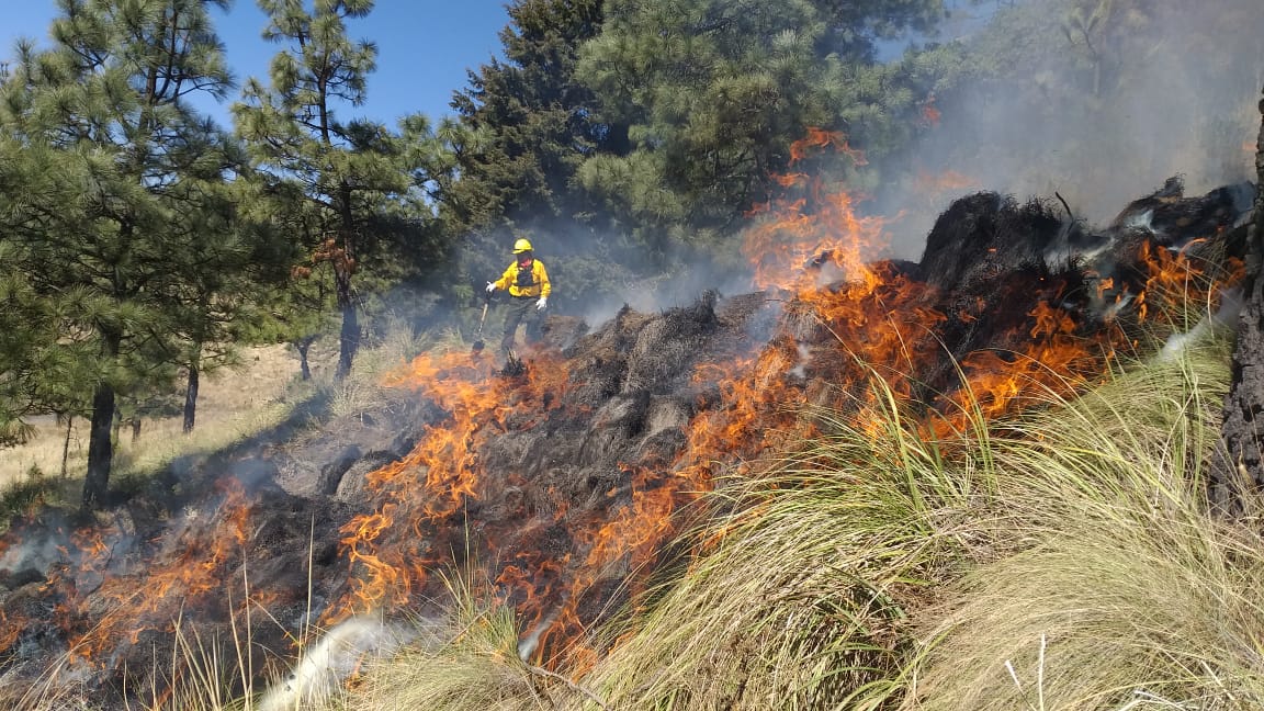 CDMX prepara operativo contra incendios forestales por Semana Santa |  Comisión Nacional Forestal | Gobierno | gob.mx