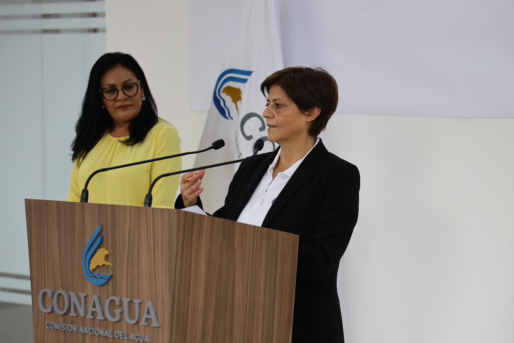 Conagua implementa un plan de acción para contribuir al abastecimiento de agua en hospitales prioritarios en ciudades y comunidades rurales, así como seguir con el manejo del agua en la agricultura para mantener la seguridad alimentaria, informó Blanca Jiménez Cisneros.