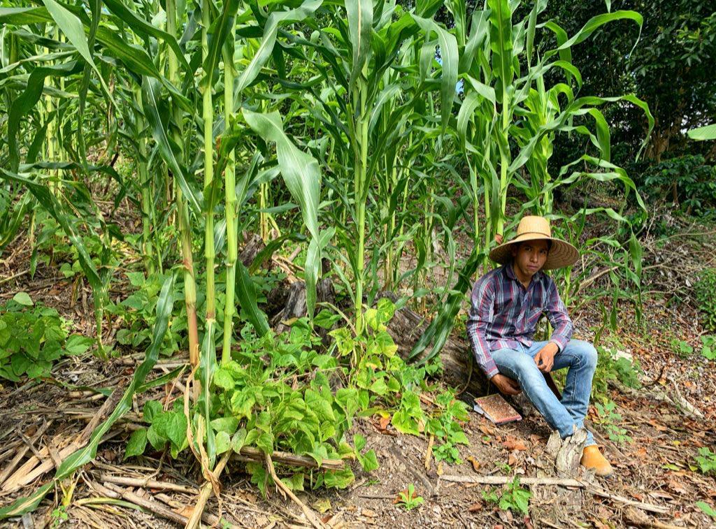 Consumir de la milpa es vital para la salud y el campo: Luis Gutiérrez