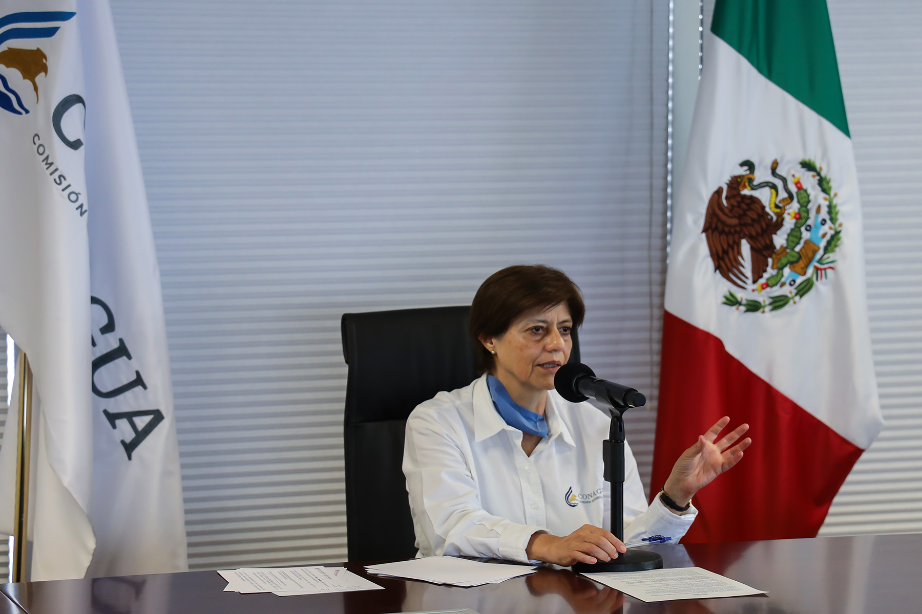 Blanca Jiménez Cisneros, directora general de Conagua participó en la videoconferencia El agua y la contingencia sanitaria: seguridad alimentaria, energética e hídrica.