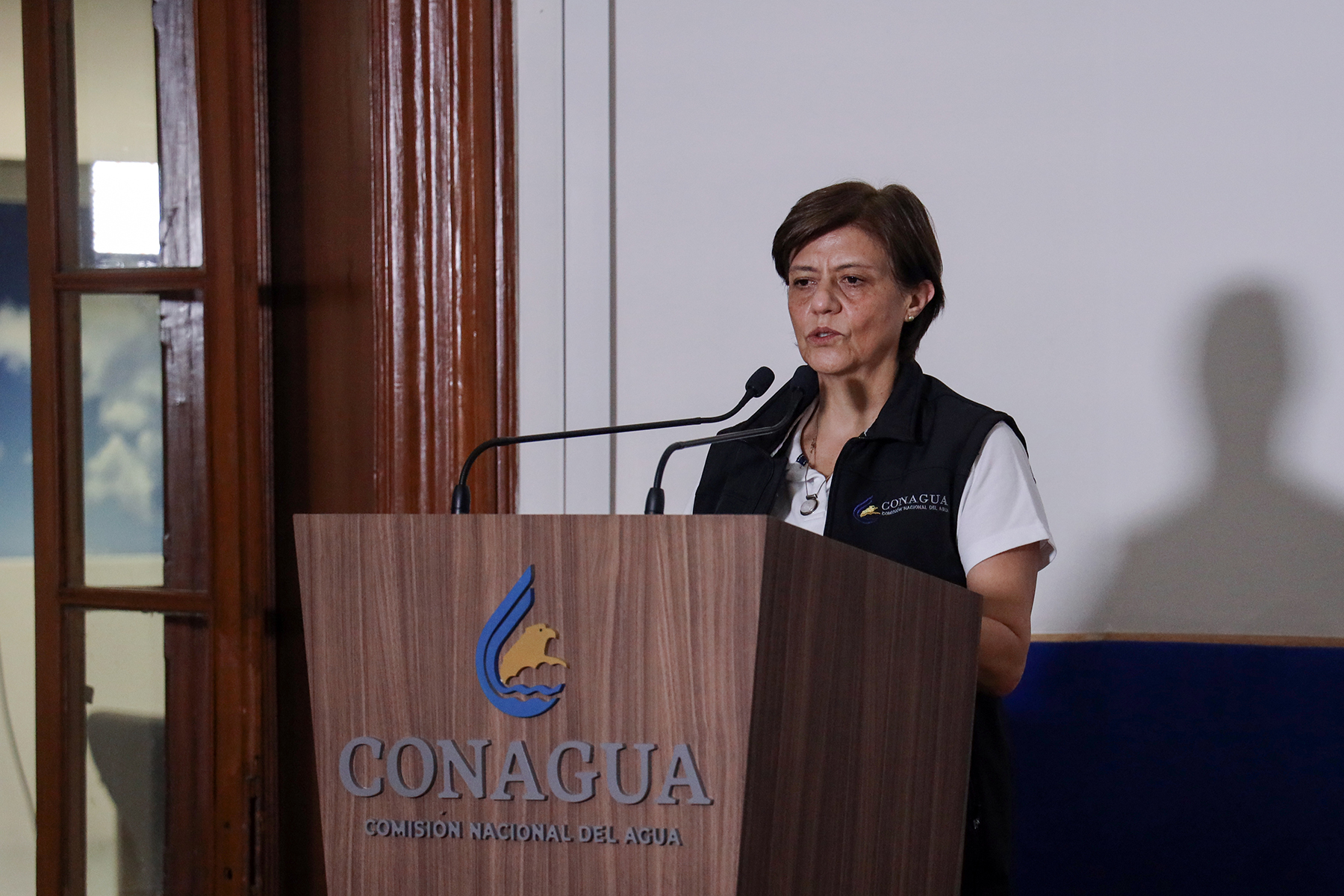 La directora general de Conagua, Blanca Jiménez Cisneros, informó sobre las acciones preventivas de la dependencia, ante los efectos en México de los remanentes de Amanda y la posible formación de un ciclón tropical en el sur del Golfo de México.