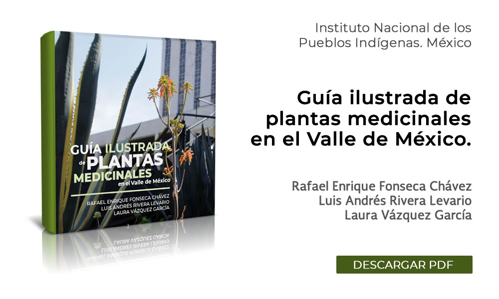 Guía ilustrada de plantas medicinales en el Valle de México.