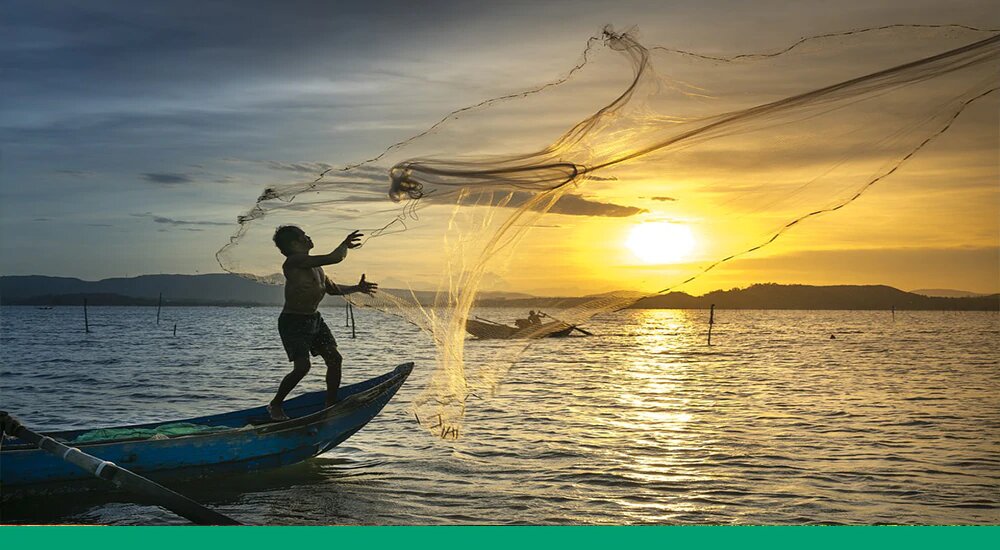 La importancia de la pesca en México y en la alimentación