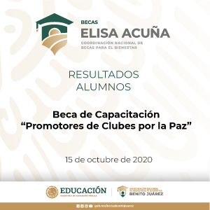 /cms/uploads/image/file/610742/Resultados_Beca_Capacitaci_n_Promotores_Cubes_por_La_Paz_Alumnos.png