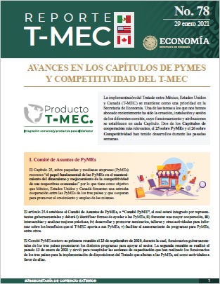 TMEC y TLCUEM  Boletín de Noticias EconómicasVTZ